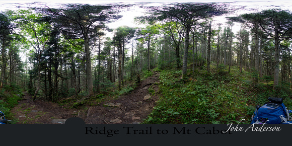 trail to Mt Cabot