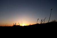 DSC00322